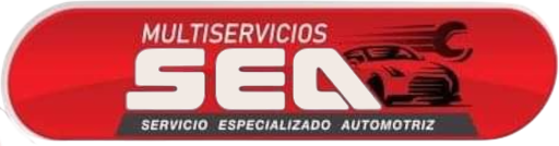 Multiservicios SEA